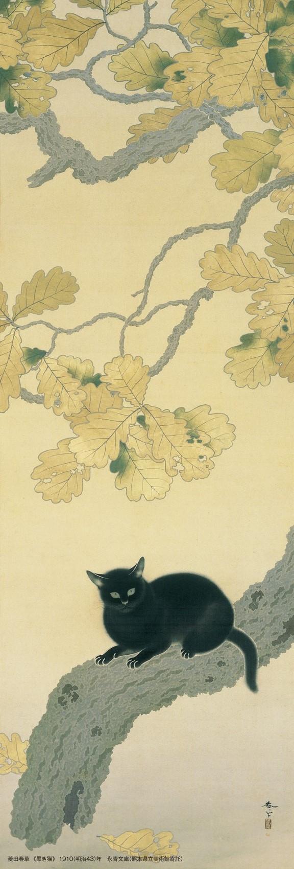 菱田春草　《黒き猫》
