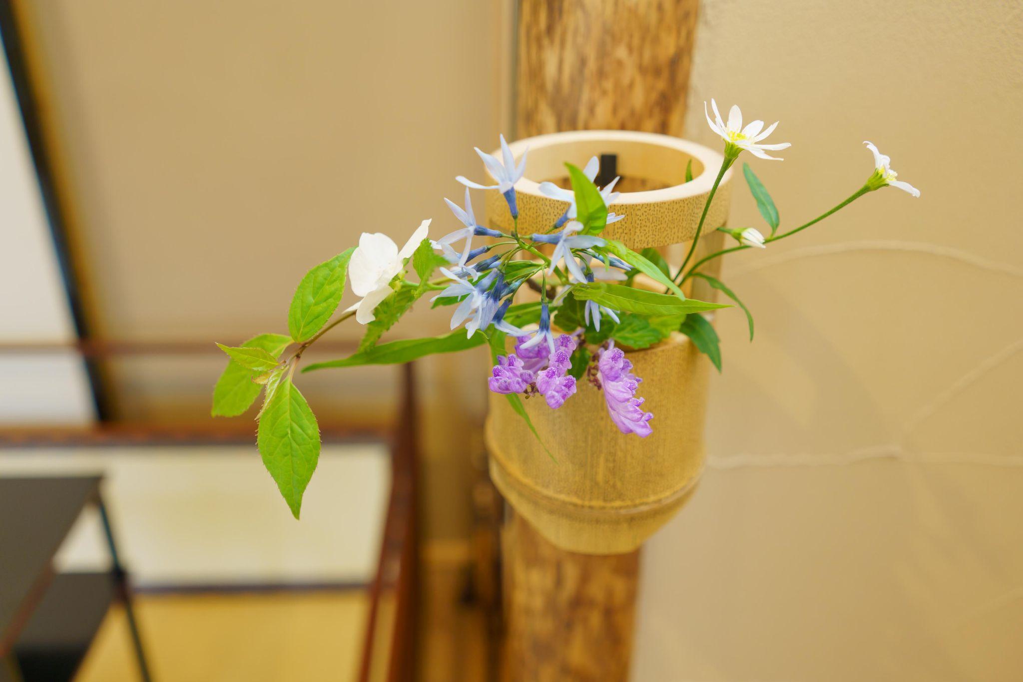 この日の茶花は白山吹、丁子草、立浪、花筏、都忘れ