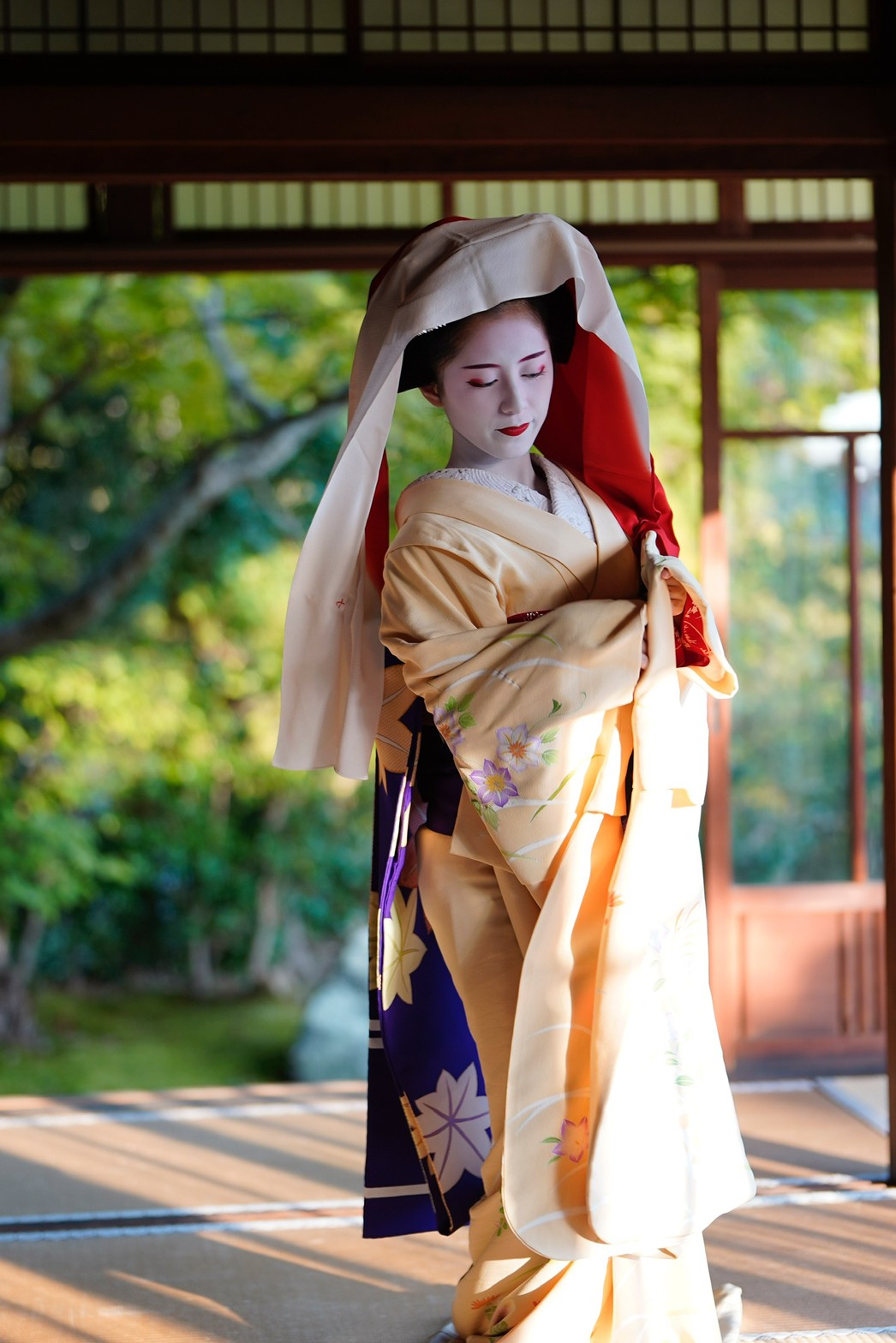 作り帯 黒 舞妓さん (初秋の光雲寺から、初夏の水族館まで 祇園 作り帯 黒 舞妓さん (初秋の光雲寺から、初夏の水族館まで 祇園