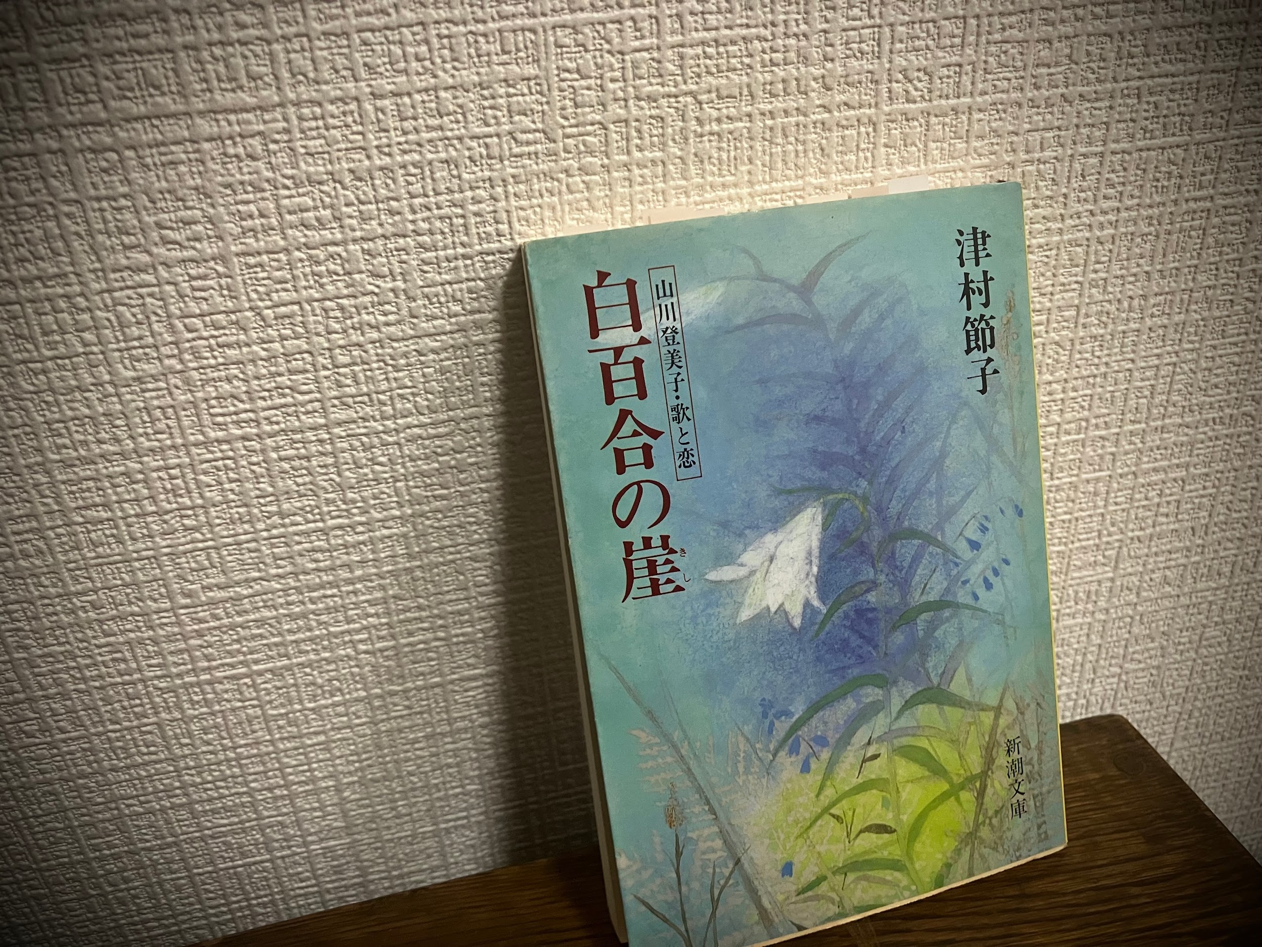 津村節子「母の部屋」「銀座・老舗の女」「みだれ籠」「絹扇」 節目の白絹 〜小説の中の着物〜 津村節子『絹扇』「徒然雨夜話ー