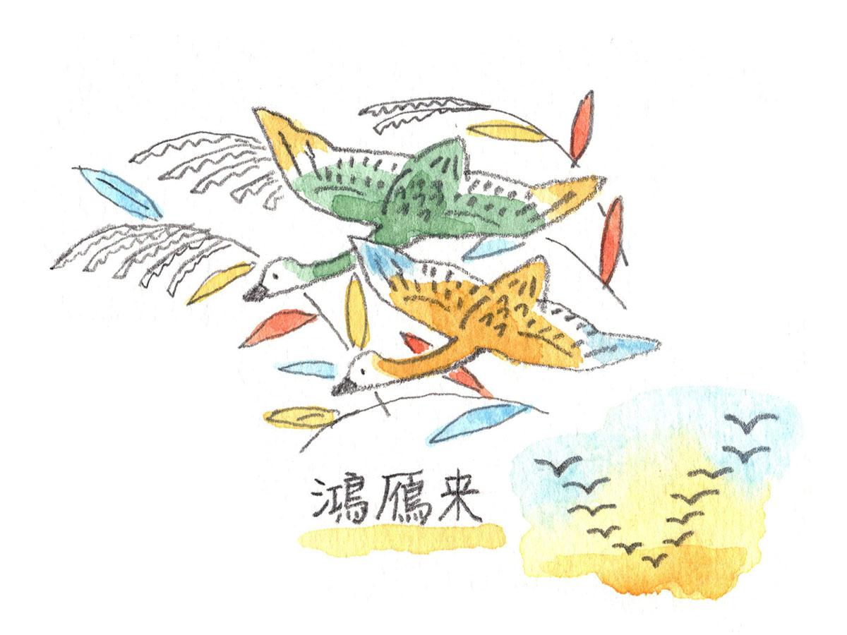 鴻雁来
