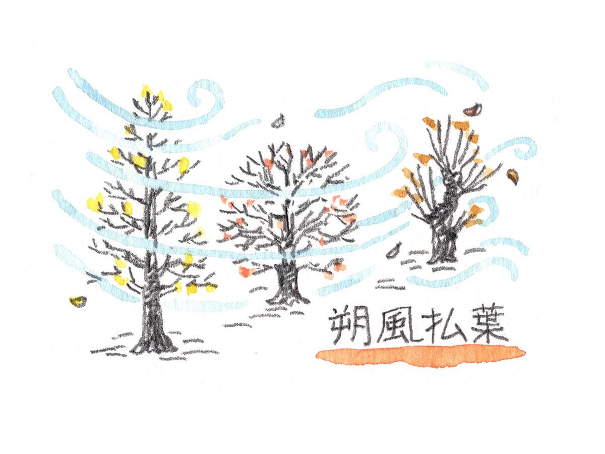 朔風払葉