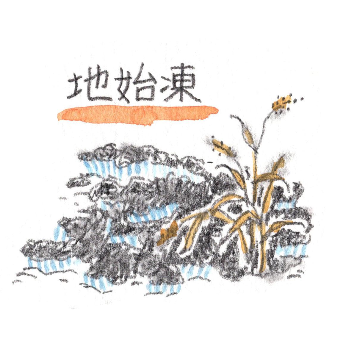 地始凍