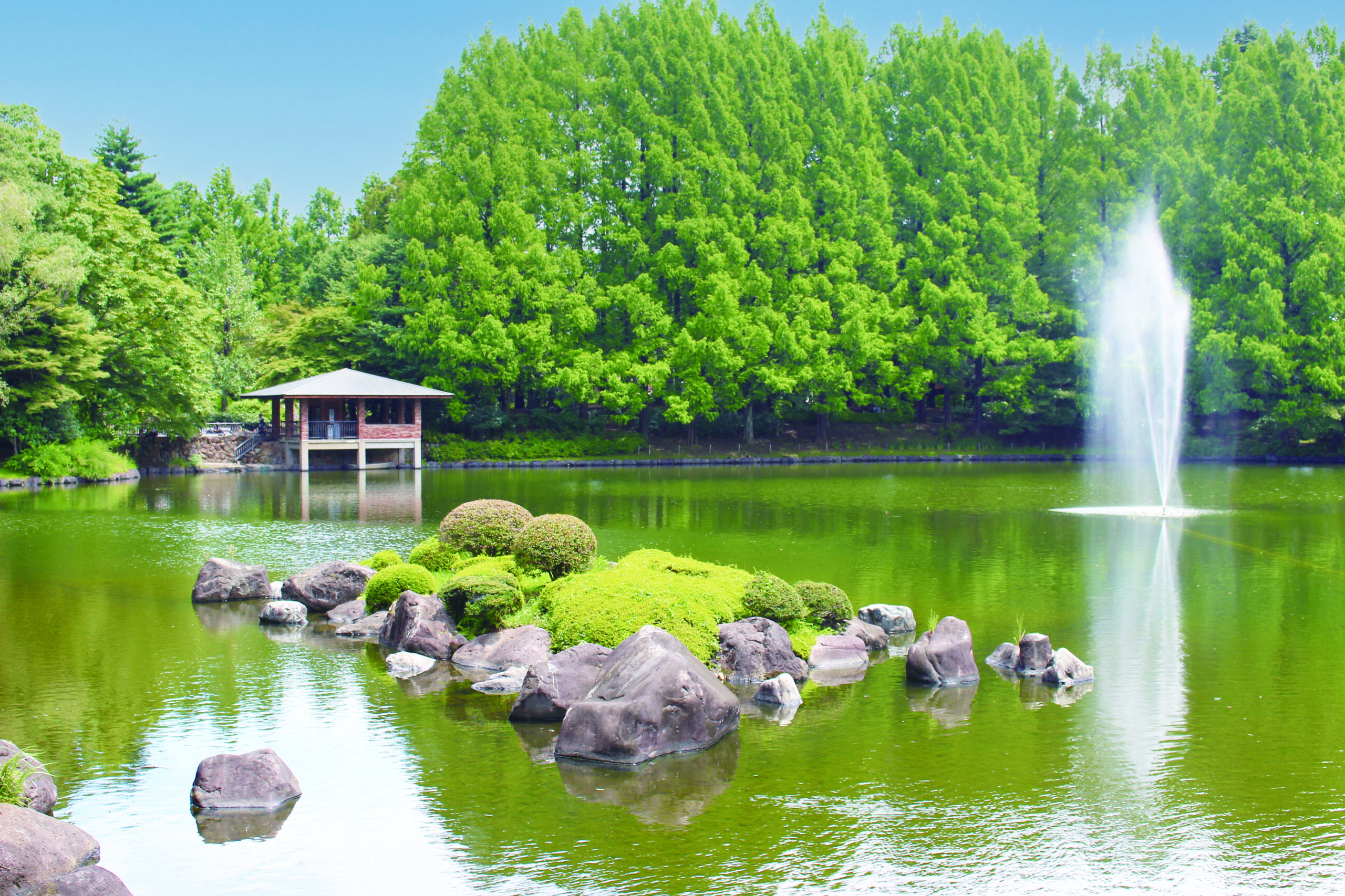 さあ、きもので!in宇都宮~新緑の中央公園散策と石の蔵ランチ~