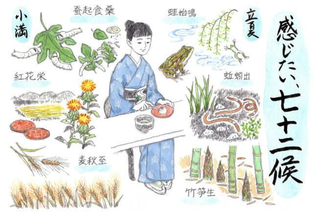 初夏の候 ―立夏から小満 「感じたい、七十二候」vol.10