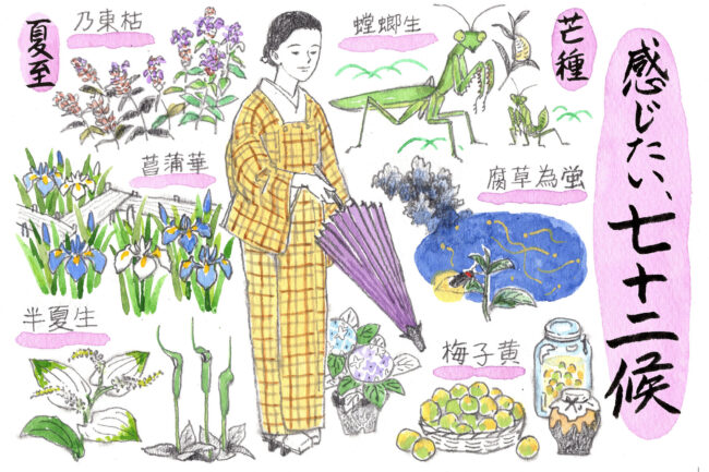仲夏の候 ―芒種から夏至 「感じたい、七十二候」vol.11