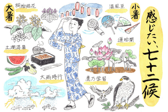 晩夏の候 ―小暑から大暑 「感じたい、七十二候」vol.12(最終回)