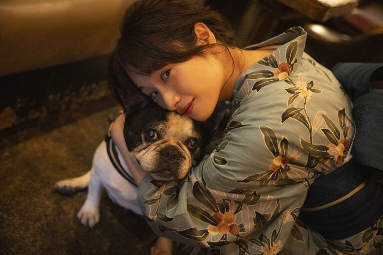 きもの、着てみませんか？