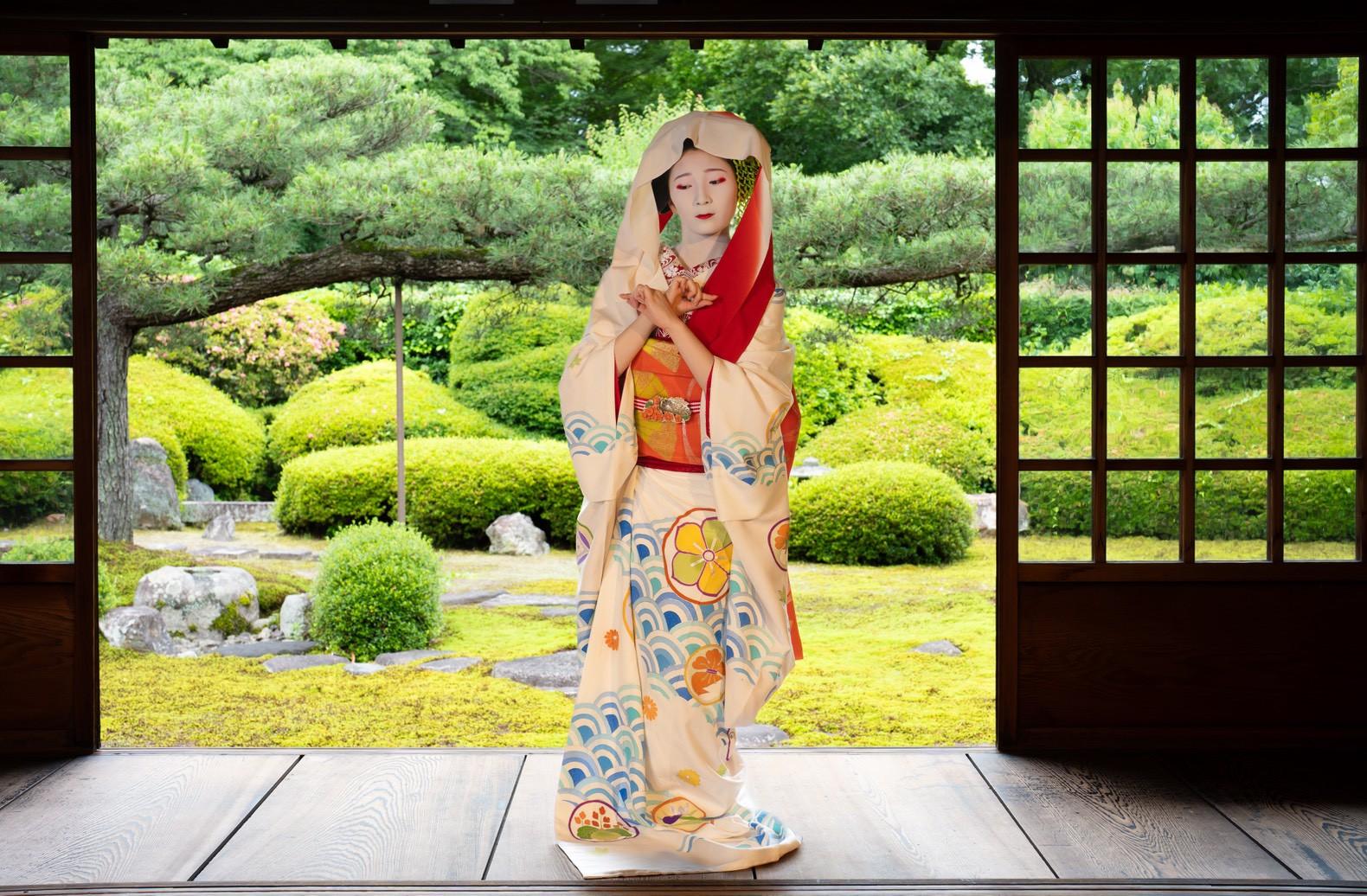 令和の芸舞妓図鑑