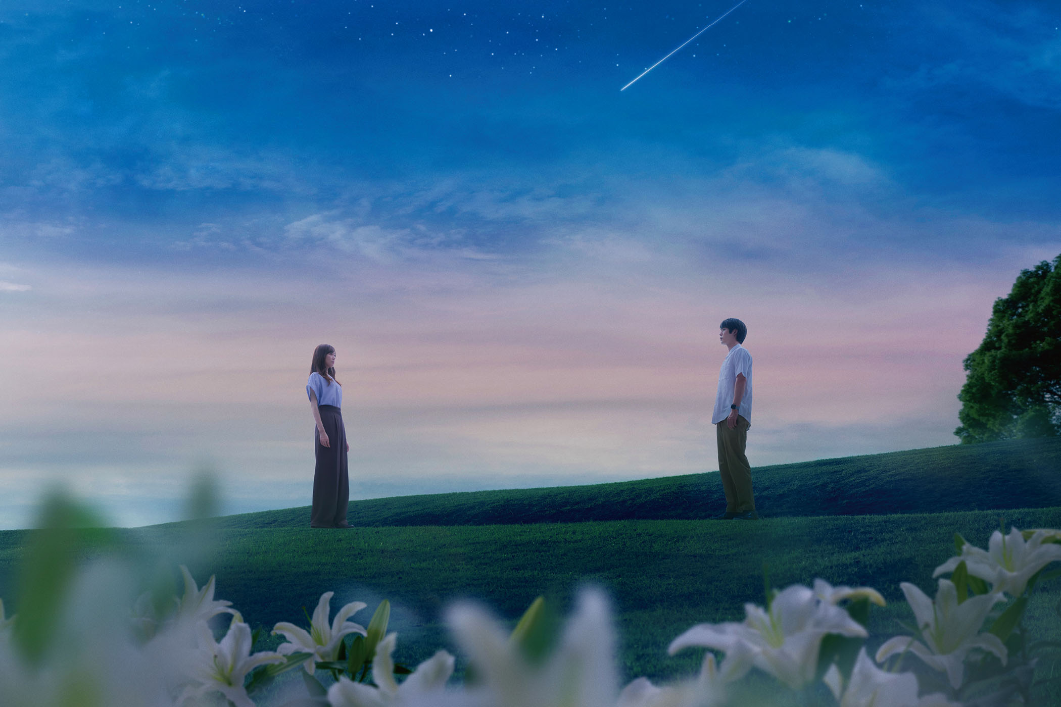 ©2026「あの星が降る丘で、君とまた出会いたい。」製作委員会