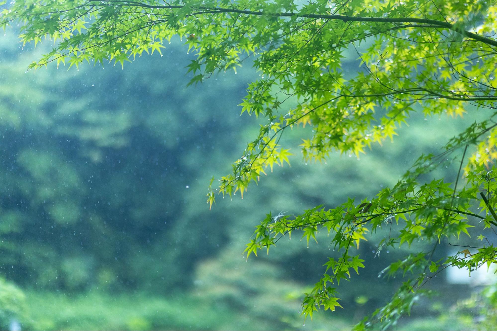 風景