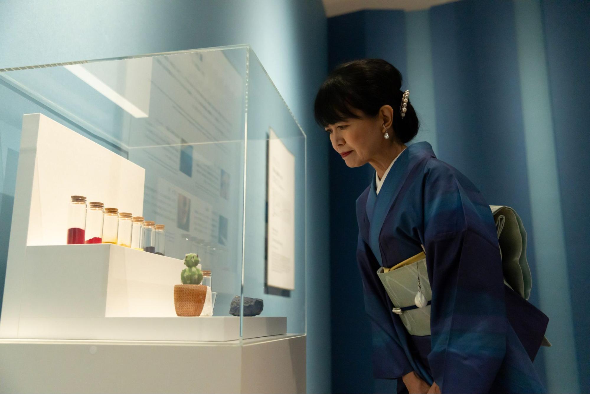 展示風景