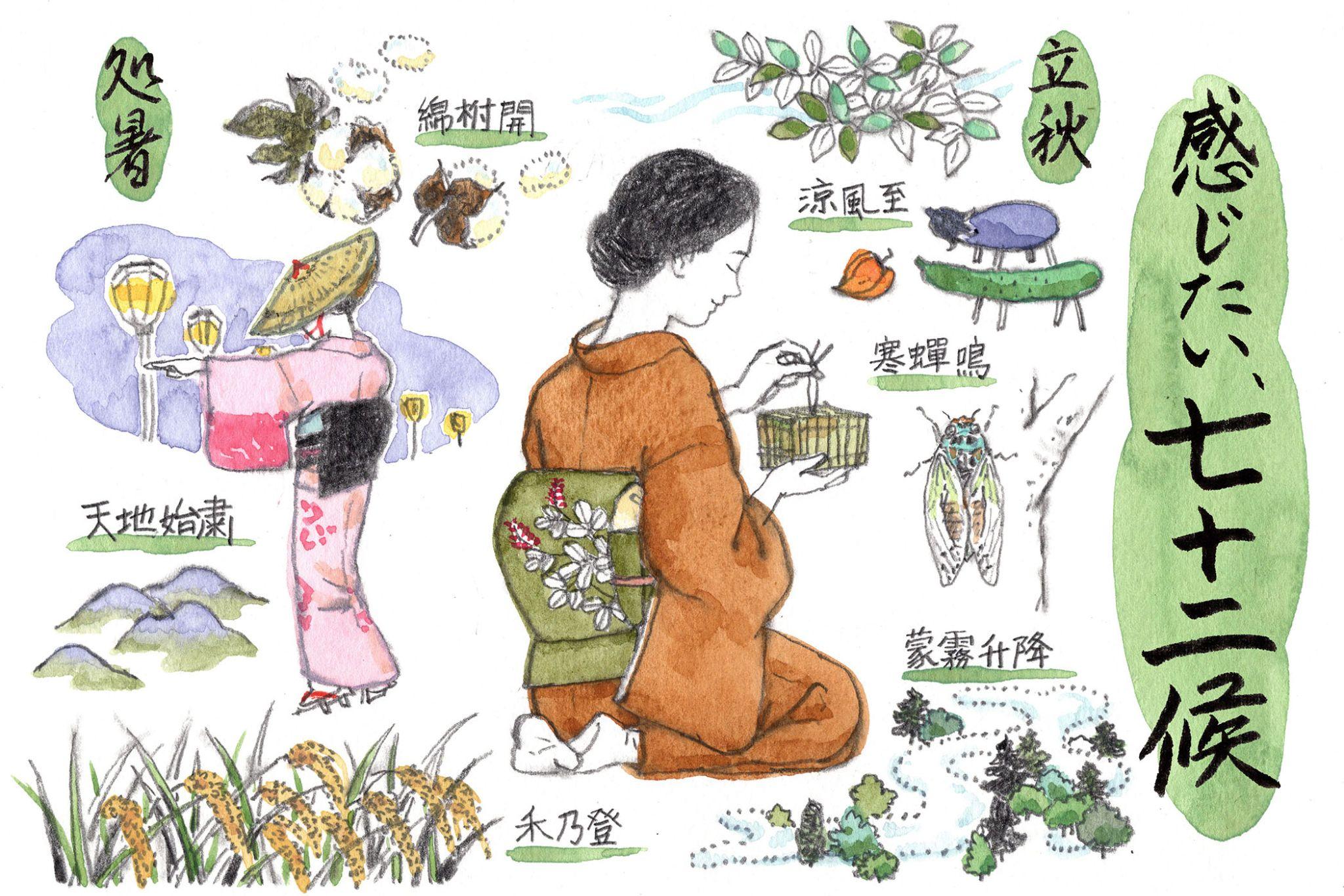 初秋の候 ―立秋から処暑 「感じたい、七十二候」vol.1