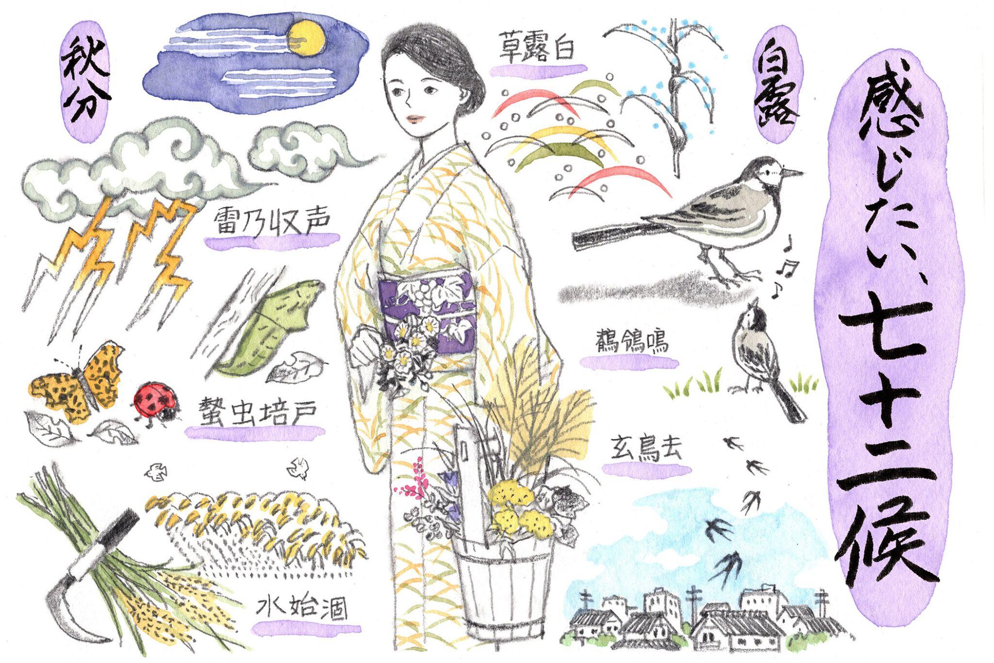 白露から秋分 「感じたい、七十二候」vol.2