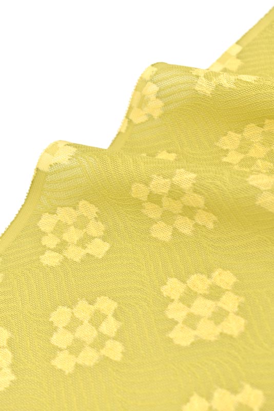 紋紗着尺 薄物 夏物 することにしました www.m-arteyculturavisual.com
