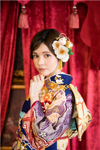 袋帯 正絹♥極美品♥菊 桜 縁起 正月 - メルカリ
