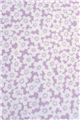 [京都富小路きねや] ちりめん桜小紋帯揚げ (06)紫 ＃カジュアル