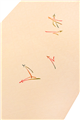 [京都富小路きねや] 型絵染め帯揚げ シダ地紋に松葉散らし 薄ピンク ＃カジュアル