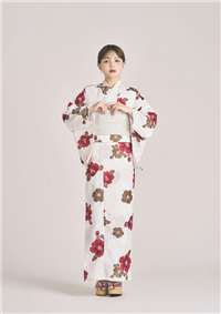 新品未使用★京都千総貴乃花浴衣反物★高級生地。 貴乃花関 味わい深く 浴衣生地 薄茶色地 傘柄 一反 〜6/30値下げ