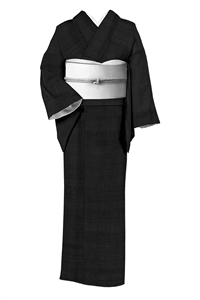単衣　本塩沢(塩沢御召し) 胡蝶　裄66.5cm 正絹 31日迄！” 【本決算最終プライス】 【本塩沢】 製織：酒井織物